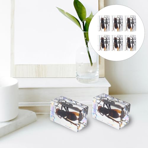 Pisapapeles de resina con insectos CLISPEED, pack de 6 especímenes transparentes para escritorio 7