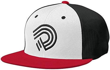 Amazon.com : DeMarini B.I.G. Snapback 