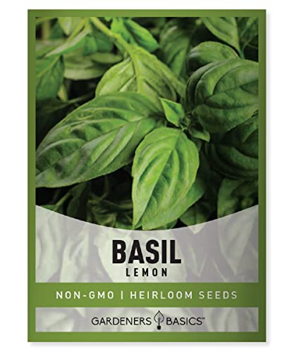 Lemon Basil Seeds for Planting Herbs - Heirloom Non-GMO Herb Plant Seeds for Home Herb Garden Indoors, Outdoors, and Hydroponics by Gardeners Basics