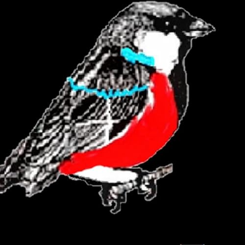 Mi compa el de españa