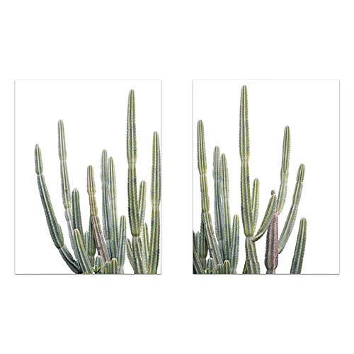 Affiches de plantes et cactus lot de 2 toiles nordiques 50x70 cm