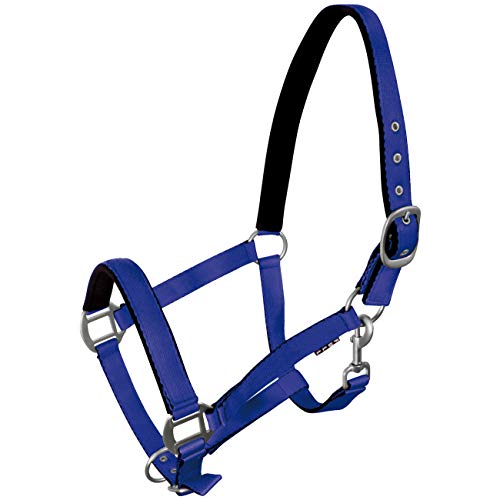 York Pferde Halfter Fluo weich unterlegt Stallhalfter Weidehalfter Reithalfter (Pony, blau)