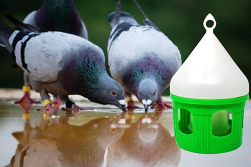 Pigeon Water Drinker - 3 Litre (B096466CBX) Amazon Price History, Amazon Price Tracker