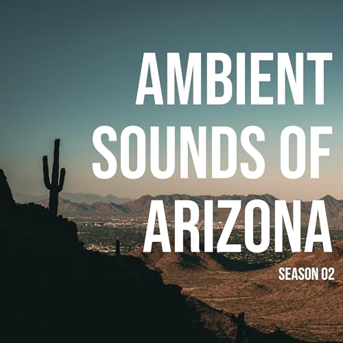 Backyard moonset in the sunrise of Phoenix Arizona