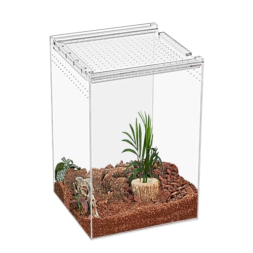 KAKOOTI Reptil Terrarium, Caja de reproducción Reptil 8 "x 8" x 12 ", Carcasa magnética de acrílico, Adecuada para Serpientes, tarántulas, cangrejos ermitaños, arañas saltadoras, Geckos leopardos