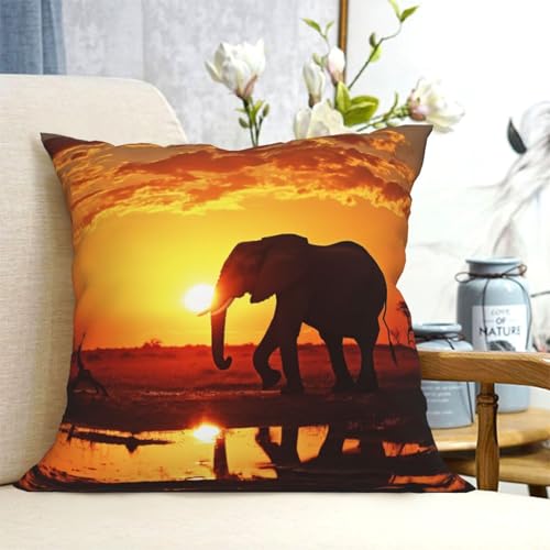GTKSYNVE �� �s�N�`���[ �X���[ ���J�o�[ 30.5 cm x 30.5 cm �����N�b�V�����J�o�[ �\�t�g �X�N�G�A �s���[�P�[�X �t�@�[���n�E�X �A�E�g�h�A ���_�� �J�E�` �N�b�V�����J�o�[ �z�[���f�R �s���[�v���e�N�^�[