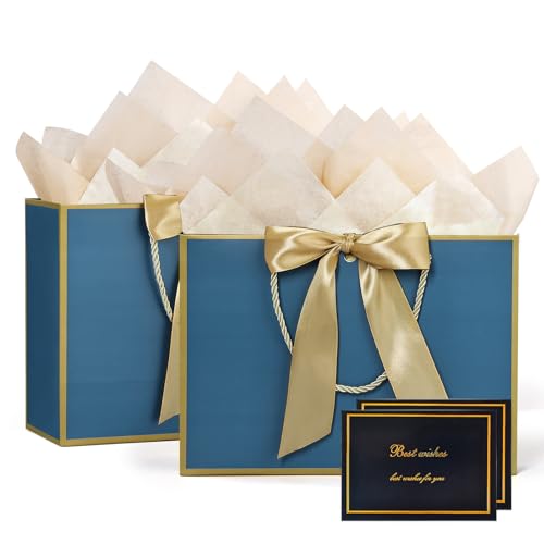 Image of JMANNI Gift Bags with Handles, 11 inch Small Gift Bag for Presents, 2 Pcs Bags with 4 Tissue Paper and 2 Cards for Baby Shower Wedding Bridal Shower Mother's Day Birthday Party (Golden-Blue)