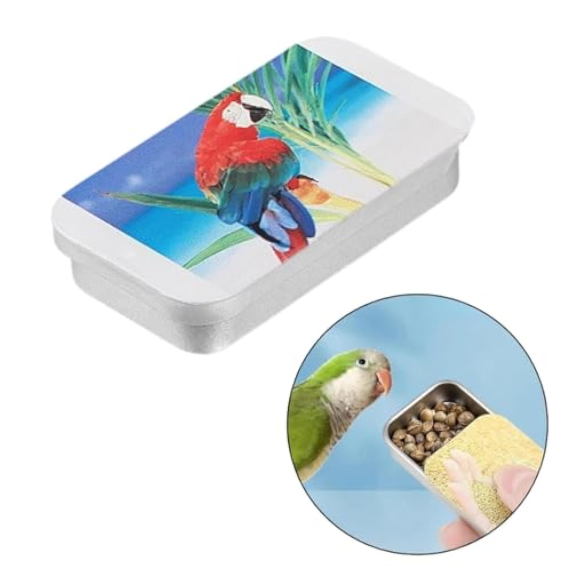 Bird Feeder Box Empty Push Pull Snack Box for Parakeet