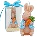 TinaWood Cute Bunny Birthday Candle, Smokeless Cake Candles Home-Made Cake Topper, Great Decoration for Home Party, Easter, Children's Day