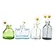 CHIVE ‘Loft’ Small Mini Flower Vases - Clear Glass Bud Vases, Set of 10 Color - Cute Vintage Rustic Centerpieces for Wedding, Events & Home - Premium Quality, Designed to Last