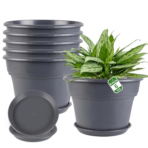 Myfeegoin 6-inch-Plant-Pots-Indoor-Outdoor, 6 Pack Plastic Planters with Drainage Holes & Saucers, Resin Flower Pots with Trays, Classic Garden Pot Container for House