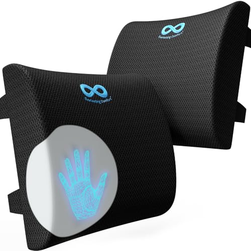 Lumbar support cushion for car seat - memory foam back cover