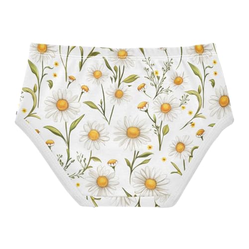 ZZKKO Summer Daisies Floral Girls Underwear Toddler Panties for Girls Comfort Brief Size 2-8T2