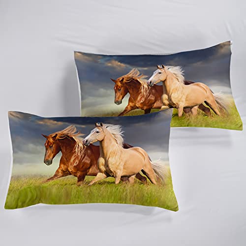 Bsntho Horse Running In The Sunset Bedding Set Horse Comforter Set Full Size Western Cowboy Comforter Set Soft All Farm Animal Quilted Duvet Set For Kids Boys Teens Machine Washable #TOP4