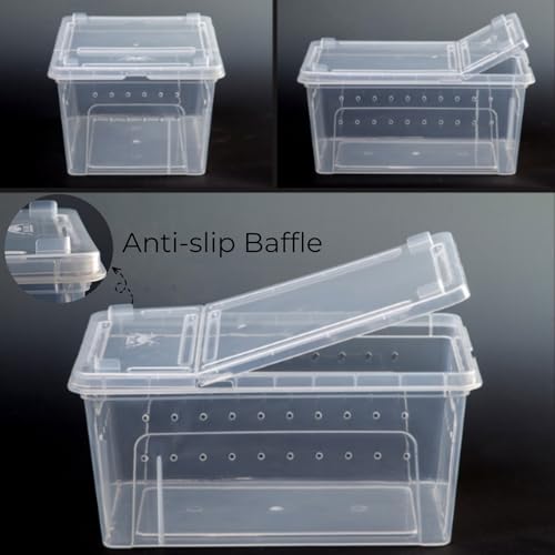 Tlence 2 Pack Reptile Feeding Box, Plastic Snake Breeding Container with Feeding Bowl, Double Opening Transparent Spider Terrarium, White Mini Animal Habitat Cage for Scorpion Frog, 12.6 x 8.7 x 6 in