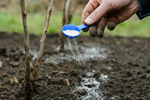 0-0-62, Water Soluble Potash Fertilizer, Nutrien Ag White Potash Fertilizer, … (5 Pounds) #TOP2