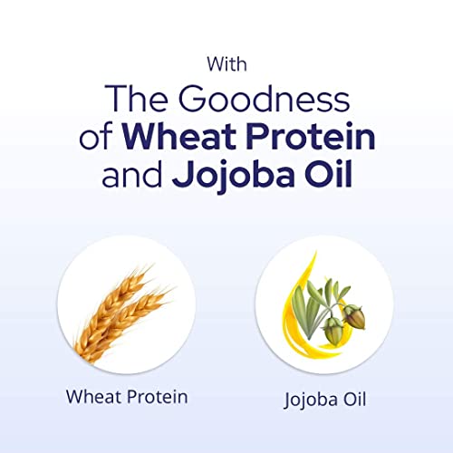 Verem Shampoo 100Gm | For Dry, Damage Prone Hair & For Men & Women | Quick Yet Gentle Cleansing | Contains Wheat Protein, Wheat Germ Oil, Jojoba Oil, Aloe | Improves Hair Texture | Gives Shine #TOP2