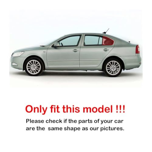 Couvercle volet latéral Octavia 2008-2012 ABS carbone - 2