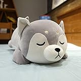 Wenn Sie den Welpen berühren Sie einfach die Augen schließen und sich vorstellen, Sie sind buchstäblich eine Wolke zu berühren.