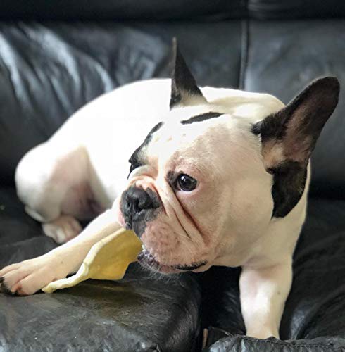 Cowdog Chews Natural Rawhide Chips – Premium Long-Lasting Dog Treats With Thick Cut Beef Hides (5 Lb) #TOP3