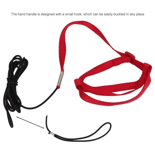 Adjustable Parrot Harness and Leash - Training Bird Supplies Anti-bite Outdoor Flying Rope for Parakeet Cockatiel (Chest 26-42cm, XS) - Image 3