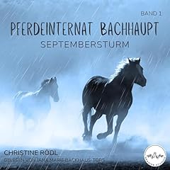 Page de couverture de Septembersturm