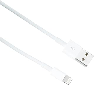 Apple Lightning to USB Cable (2m)