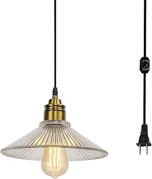 アイアン系 ビンテージ 吊り下げランプ ペンダントライト(コンセント