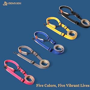   Dog-Leash-25mm-Black360-Tangle-Free-Heavy-Duty-Strong-Nylon-Retractable-and-Hands-Free-Design-Crossbody-Hand-held-Waist-Leash-Outdoor-Easy-Walk-Dog-Leash-Medium-and-Large-Dog