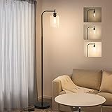 Boncoo Industrial Floor Lamp Fully Dimmable LED Floor Lamp Simple Standing Lamp with Glass Shade,...