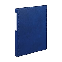 Amazon.com : Lihit Lab HB438-6 Carte Book, Thick Type, A4