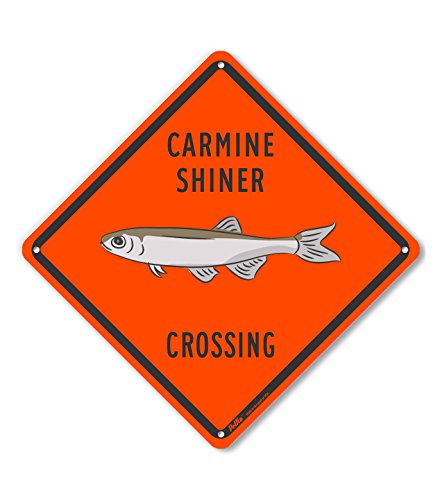 Panneau aluminium Carmine Shiner Crossing orange 10x10 pouces PKAC-1078-NA