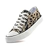 Canvas Shoes for Women Men Low Top Lace Up Sneakers Canvas Fashion Sneakers Classic Casual Walking Shoes Comfortable Breathable