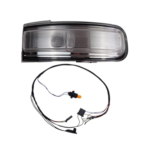 Luz señal de giro para retrovisor de coche Renegade cubierta con lámpara piloto bilateral 3