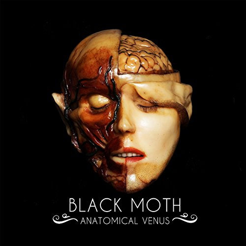 lp_record Anatomical Venus
