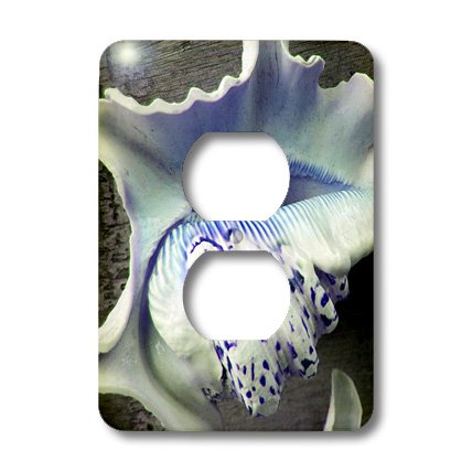 Coquillages bleus et violets solution pour embellir une double prise murale - 3