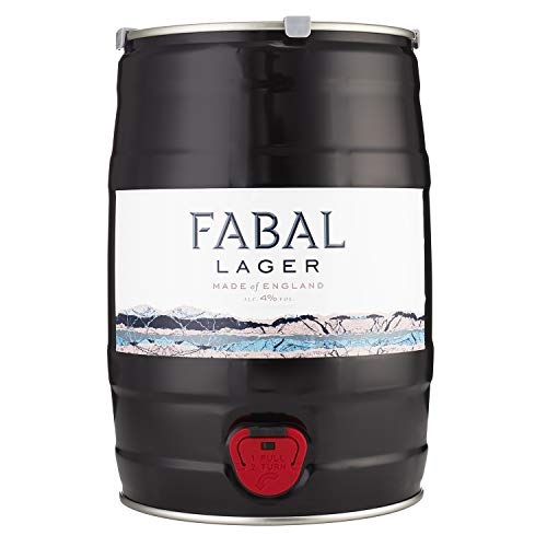 Craft Beer Kegs for sale in UK 58 used Craft Beer Kegs