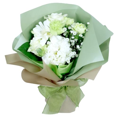 a  Mtg ̂܂܏ ԑ u[P Iׂ6  AWg  ԕrsv o[Xf[ v[g LO N j j j җ hV  މ@j   ybg X^h (i`z