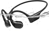 PSIER X34-C Dual Driver