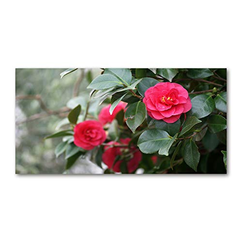 Fond de hotte résistant aux chocs Tulup 100x50 splashback rouge