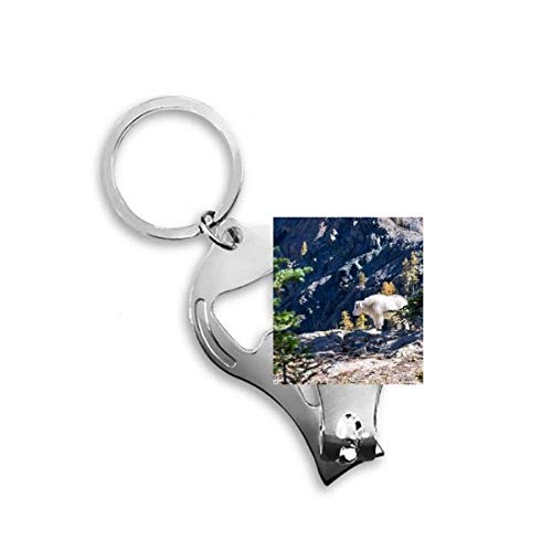 Coupe-ongles ours blanc à levier ergonomique pour ongles de pieds épais