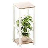 YIZAIJIA Plant Stand Indoor Corner Tall 2 Tier Metal Modern Flower Storage Plant Shelf Holder for Li