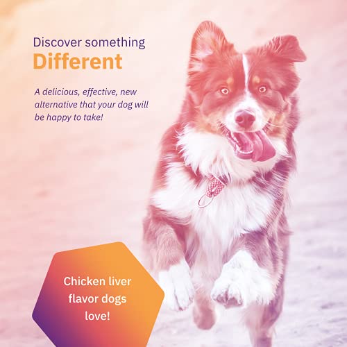 Movoflex Dog Hip & Joint Support For Large Dogs - Veterinarian Formulated - One Chew A Day Serving Size - Gluten Free - 60 Soft Chews #TOP3