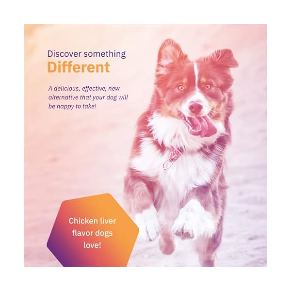 MoVo Flex Dog Hip & Joint Support for Large Dogs – Veterinarian Formulated – One Chew A Day Serving Size – Gluten Free – 60 Soft Chews MoVo Flex Dog Hip & Joint Support for Large Dogs – Veterinarian Formulated – One Chew A Day Serving Size – Gluten Free – 60 Soft Chews