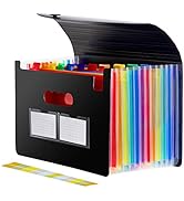 Sooez 13 Pocket Expanding File Folder, Premium Monthly Document Organizer, Accordian File Folder ...