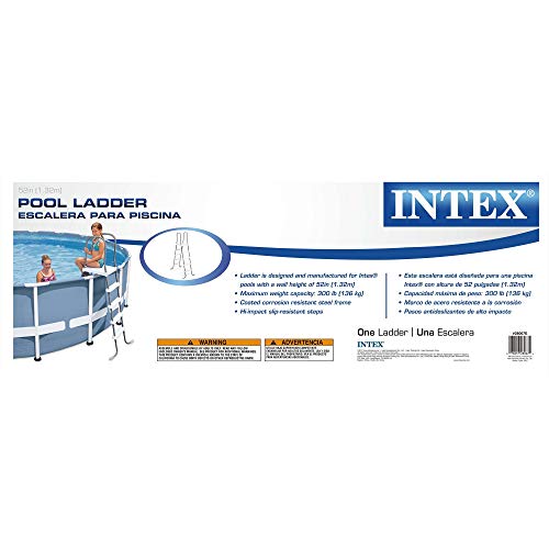 Intex Above Ground Swimming Pool Ladder & 2 Intex 1.25 In. Dia. Replacement Hose #TOP5