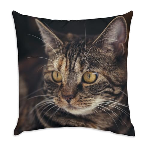 Image of Fabulous Velvet Cushion with Large Yellow Eyes and Tiger Design - 40 x 40 cm - Velvet Feel - Cover and Cushion Included