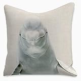 Bccowdwzfc Housses de Coussin 2 Pcs Taie Coussin de 45x45cm Taies d'oreiller pour Canapé Sofa Fauteuil Siège Décoration de Maison-Dauphin Mignon