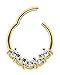 Produktbild Piercing Ring Smooth Segment Clicker mit fünf Steinen in Gold 1,2 x 7 mm