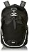 Osprey Packs Radial 26 Daypack, Black, Medium/Large